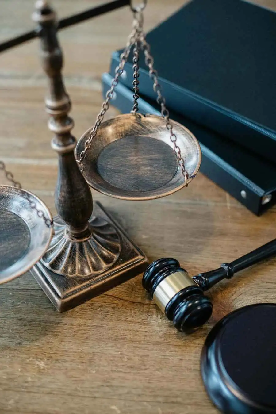 Appeals & Judicial Reviews